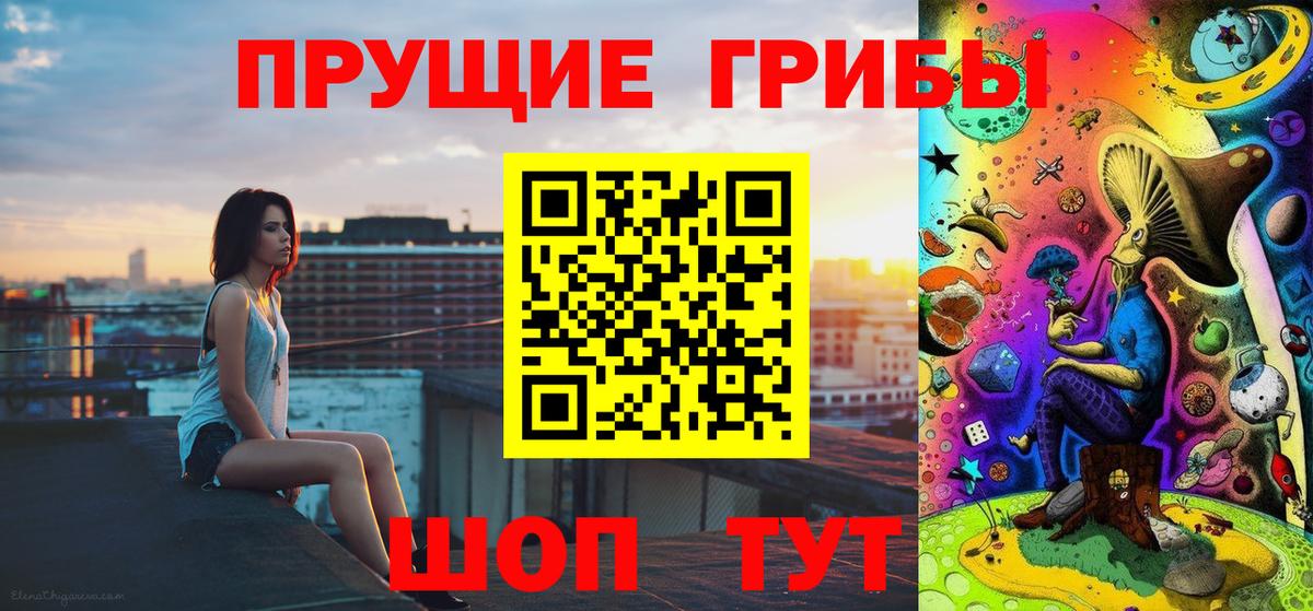 Галлюциногенные грибы Psilocybe Рубцовск