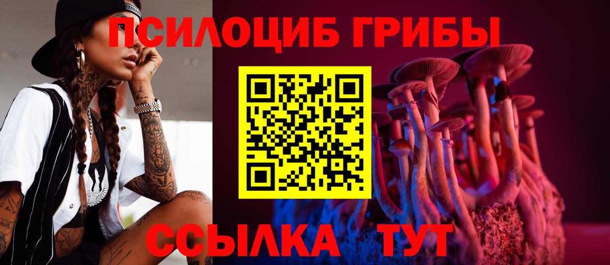 Рубцовск  Галлюциногенные грибы GOLDEN TEACHER  Галлюциногенные грибы Psilocybe  Вход с VPN 